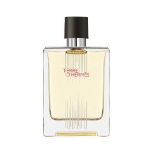 Hermes, Terre d'Hermes Flacon H Limited Edition, Тоалетна вода, За мъже, 100 мл