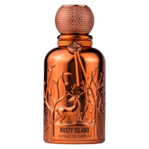 Auraa Desire, Rusty Island, Екстракт от парфюм, За мъже, 100 мл