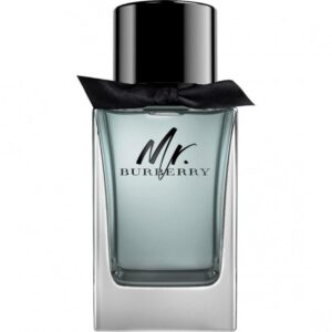 Burberry, Mr. Burberry, Тоалетна вода, За мъже, 100 мл