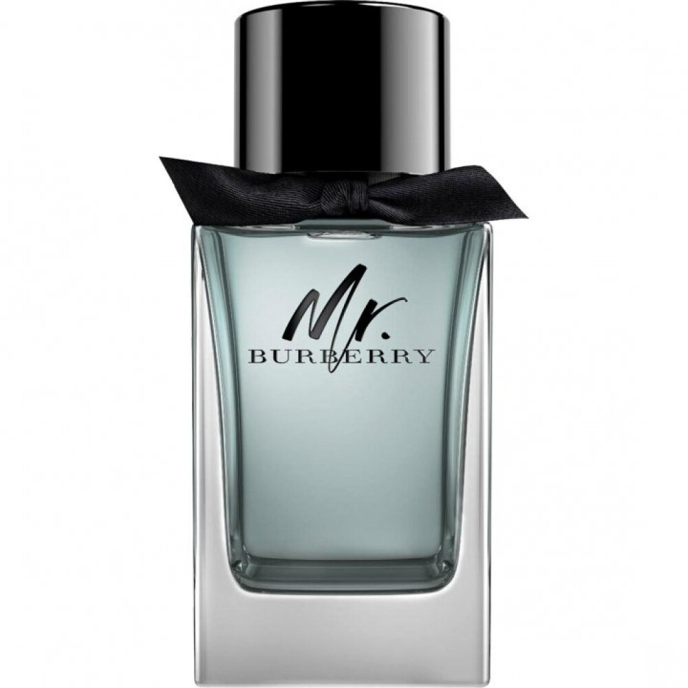 Burberry, Mr. Burberry, Тоалетна вода, За мъже, 100 мл