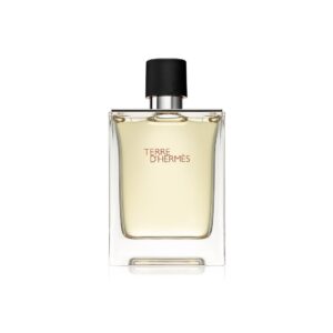 Hermes, Terre d'Hermes, Тоалетна вода, За мъже, 100 мл