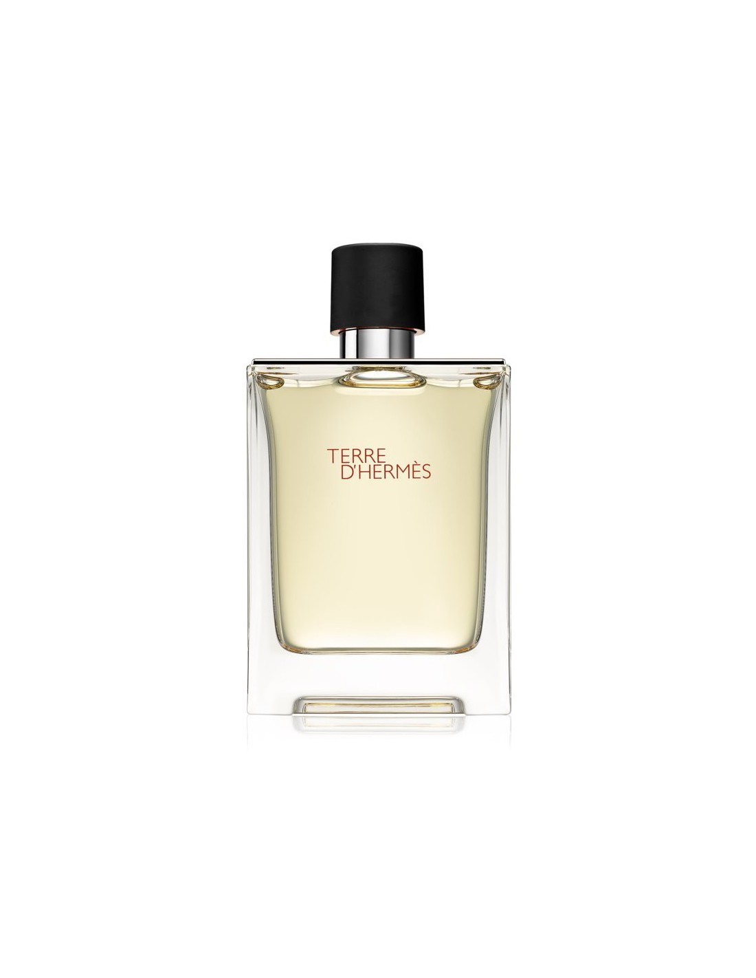 Hermes, Terre d'Hermes, Тоалетна вода, За мъже, 100 мл