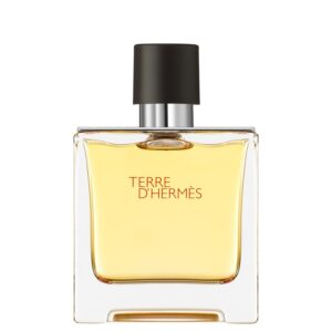 Hermes, Terre d'Hermes, Парфюм, За мъже, 75 мл